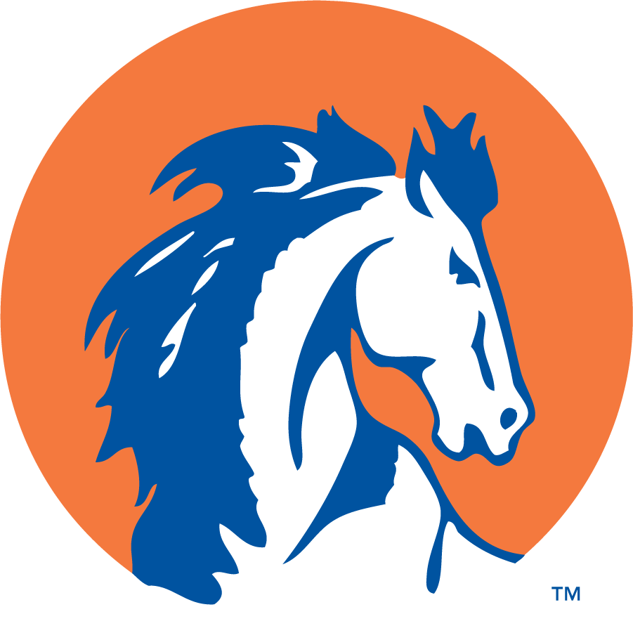 Boise State Broncos 1957-1983 Secondary Logo diy DTF decal sticker